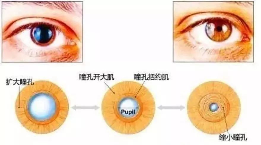 吸毒人的眼睛有什么特征?