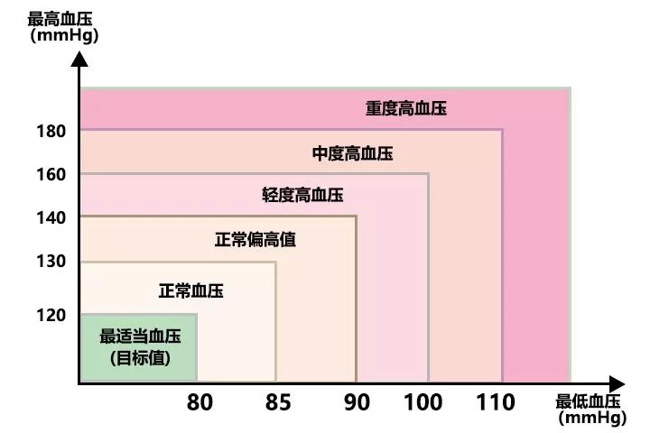 居家测血压 须知