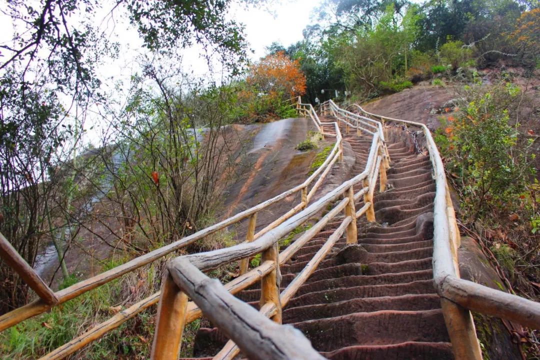 丹梯—摄影:树根索道上山—摄影:树根丹霞日出—摄影:刘加青