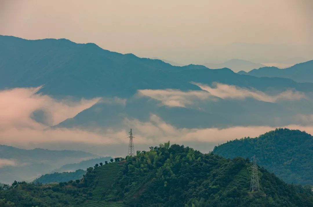 自林中自说不清道不明的来处纷拥云集汇成浩浩荡荡的云山雾海浮游万壑