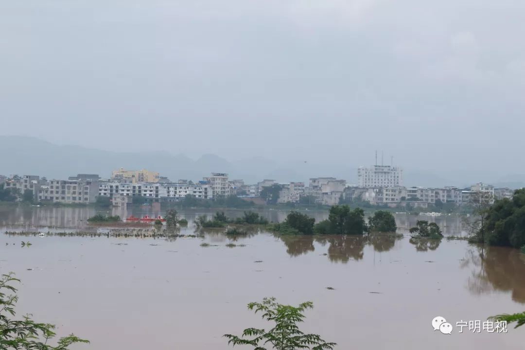 宁明县人口_宁明县地图(3)