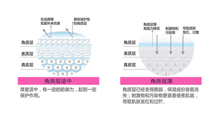 减少水分蒸发,也可以从空气或者护肤品中吸收水分令皮肤表面保持湿润