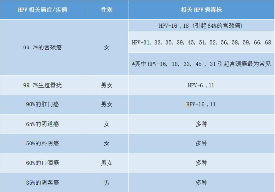 瞧这hpv一家子