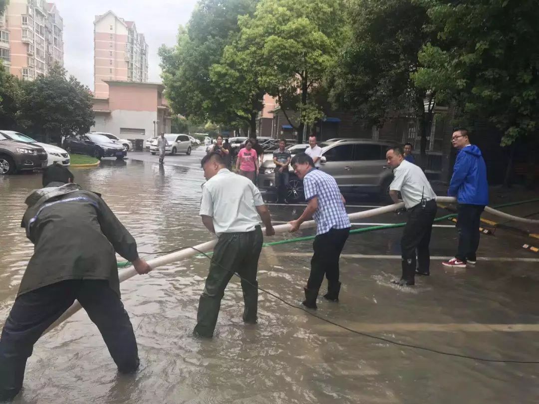 新虹透视 | 没等来情人却等来了"温比亚"的七夕,新虹街道全副武装为你