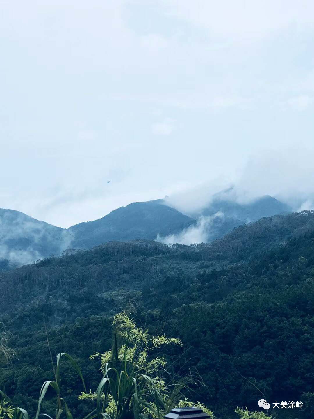 雨后云上搭"鹊桥,涂岭的云,原来这么美!愿有情人,无别离