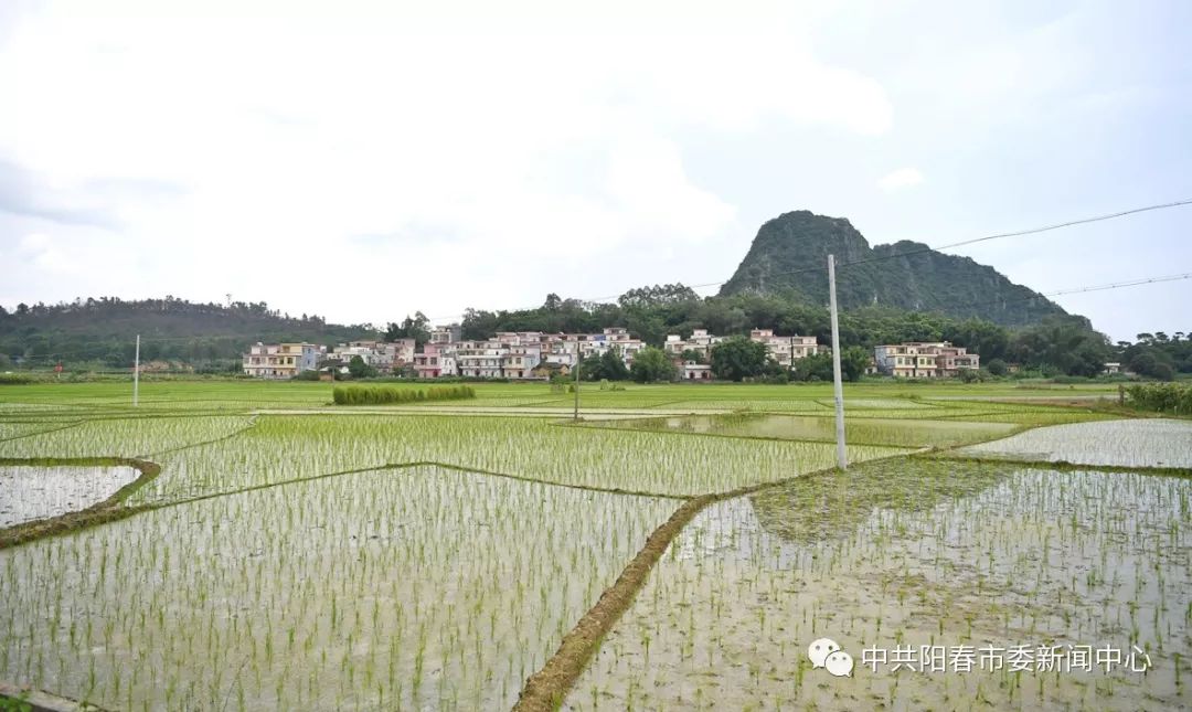 提示:走进阳春市松柏镇新联村,记者的第一印象就是村庄整洁,文化气氛