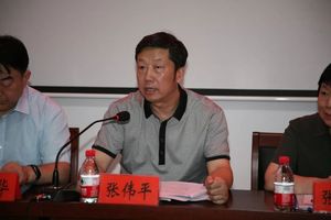 河南省卫生计生委疾控处处长张伟平,世界卫生组织驻中国代表处医学