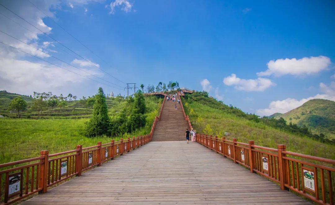 周末贵州桐梓避暑圣地渝南黔北四大区县旅游联盟优惠享不停