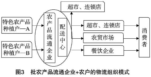 5 第三方物流模式农产品物流市场的前景越来越受到人们的高度重视 这