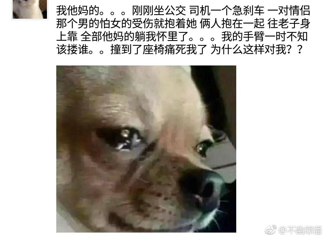 不好意思我先笑为敬 这样的沙雕翻译是真实存在的吗?