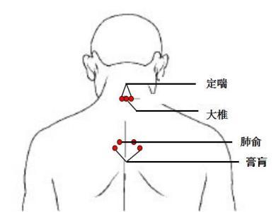 >> 内容  1,大椎:万能的大椎穴位置:正坐低头,该穴位于人体的颈部