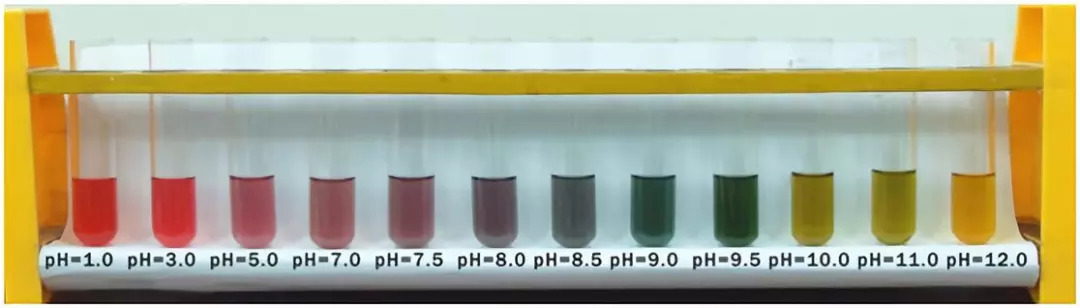 花青素在各种酸碱环境下的颜色反应
