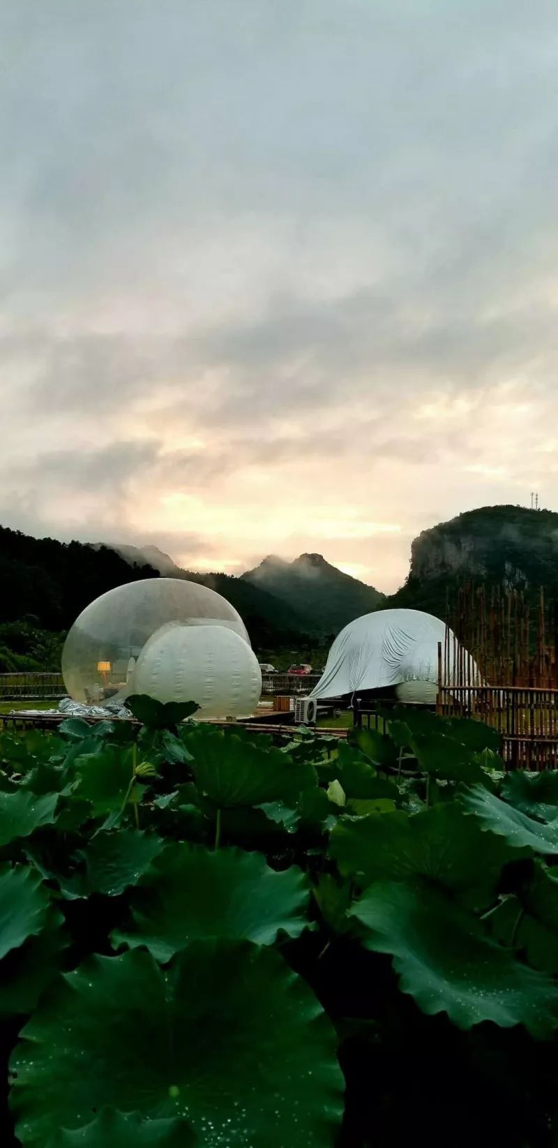 这是一个神奇的地方,心宿泡泡屋全景天窗打开模式已启动