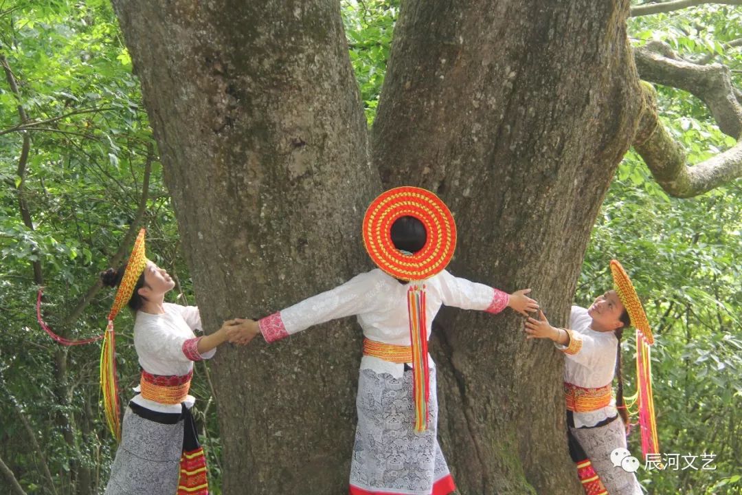 自古以来,花瑶人以树为图腾,与树为亲,使这片土地上的树木历经千百年