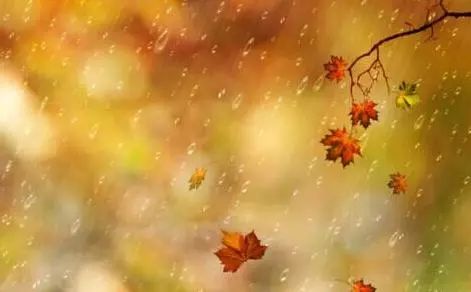秋雨,是一叶流泪的诗