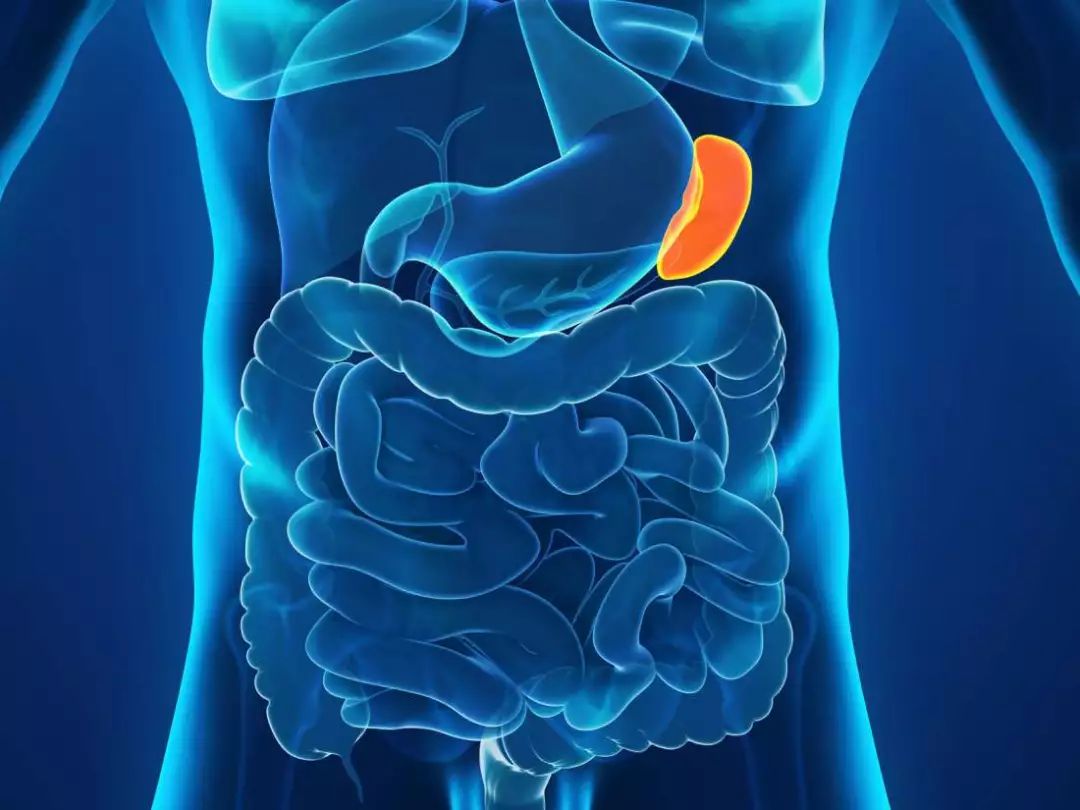 常见胃病症状及日常养护小窍门，助你养出好肠胃|小窍门|胃病|肠胃|症状|养护|常见|日常|胃痛|食物|疾病|嗳气|饮食|呃逆|胃镜|胃部|-健康界