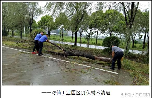 丹阳市访仙镇总人口_丹阳 访仙镇双茆村(3)