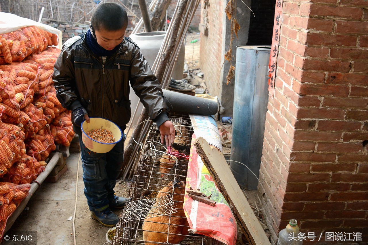 10岁孩子给爸爸喂饭吃一顿不做饭爸爸就要挨饿妈妈抛下他走了