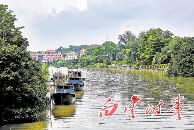 江高有座小岛,夏日的午后游玩超舒服!_公园