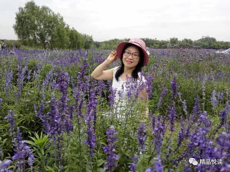 云天社澳洲分社小辑流水与明月