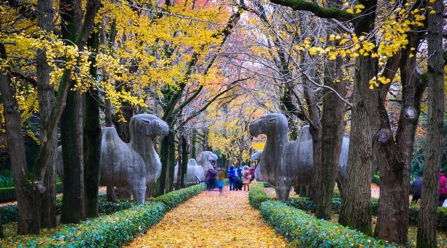 钟山风景区