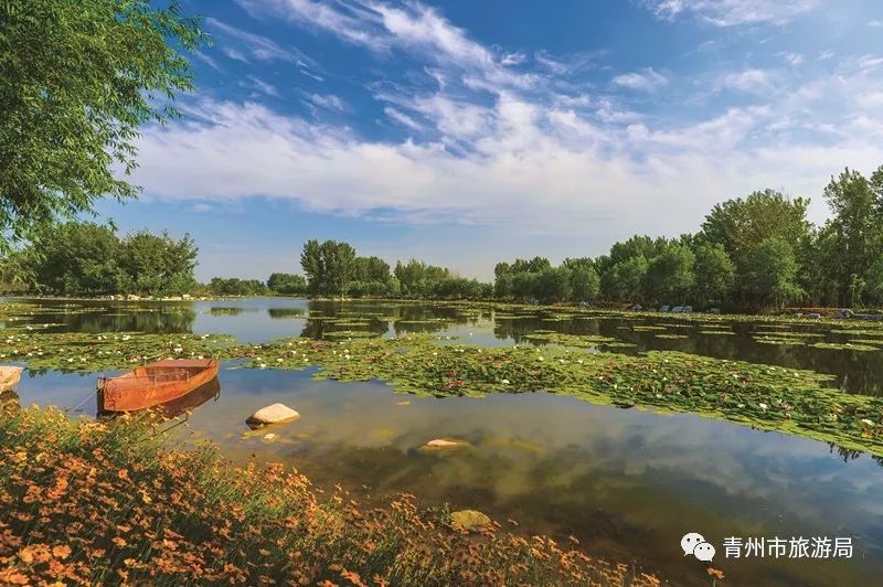 青州弥河国家湿地公园南起青州市南环路,北至胶济铁路货运线,全长11.