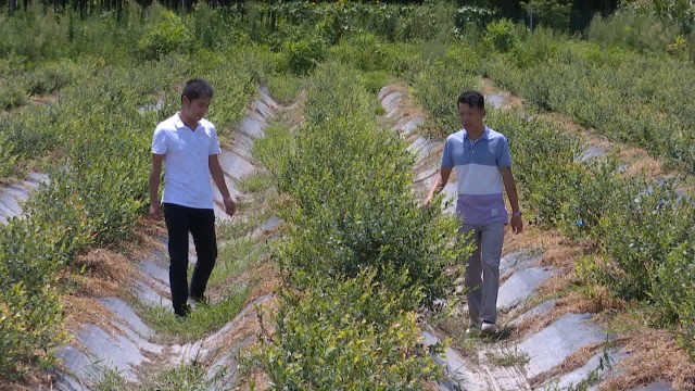 嘉兴美丽乡村全景报道|野马村:小乡村也有大梦想,用心打造幸福家园