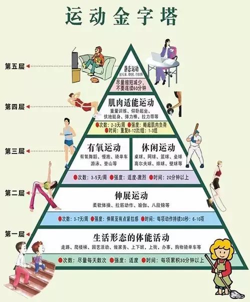 来爬爬运动金字塔,你在第几层呢?