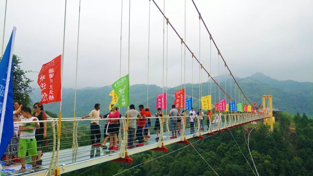 惊险,刺激!柃蜜小镇9d玻璃桥开放首日,吸引上万游客!