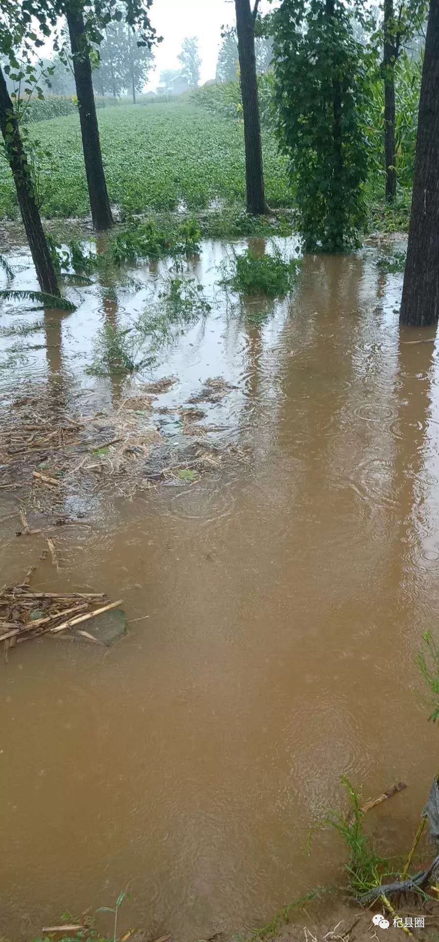 杞县各乡镇暴雨情况通报