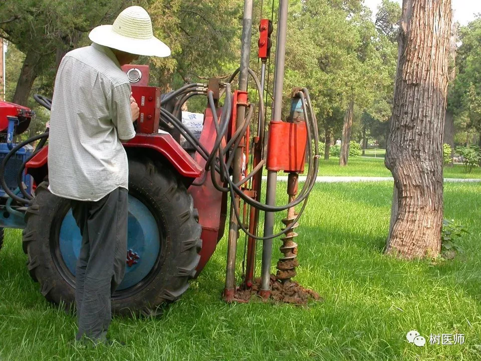 三伏天栽树如何做到100成活率园林施工员必收藏