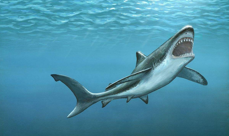 史前巨兽正面对决:巨齿鲨和沧龙,谁的杀伤力更大?