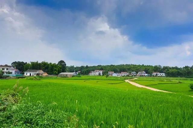 近日,市委农村工作领导小组印发《长沙市美丽乡村建设指南,首批100