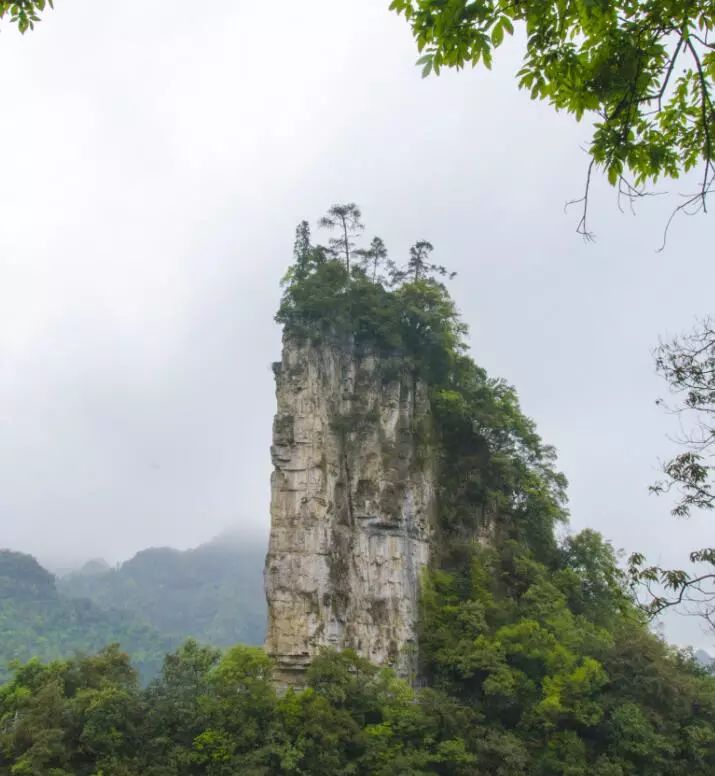 油杉河景区—仙宇屯 油杉河景区—仙宇屯 5 第五站 大方崔苏坝露营