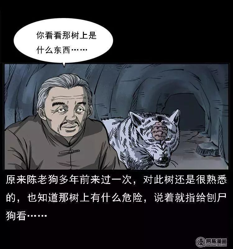 陈老狗