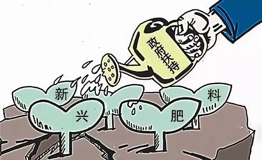 落实哪年人口_保护姑娘贯彻落实图片(2)