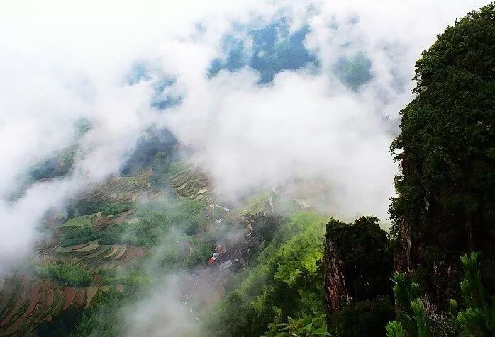云雾山风景区坐落在汉中西北角,距汉中62公里.