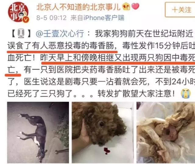 异烟肼毒狗事件人狗对立从来不是狗的问题