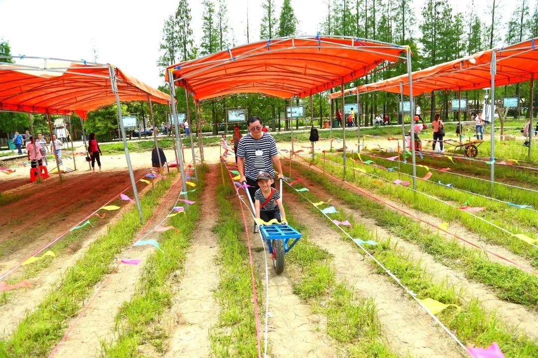 体验欢乐乡村生活,来十里莲江首届农耕文化节!