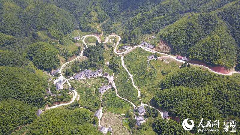 【改革开放江西印记】航拍井冈山神山村:昔日贫困村今日旅游村