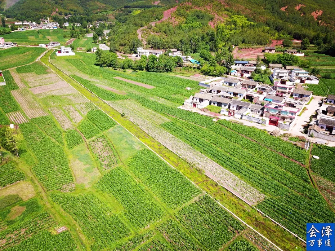 多巴新墩村人口