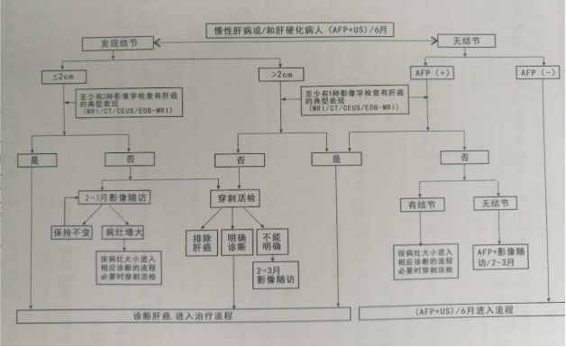 原发性肝癌分期和治疗