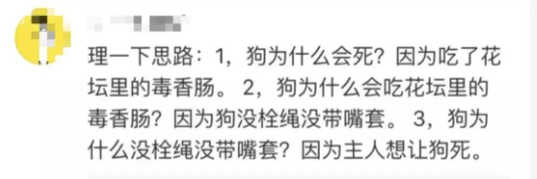 异烟肼毒狗事件:人狗对立,从来不是狗的问题