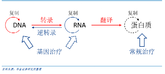 中心法则示意图