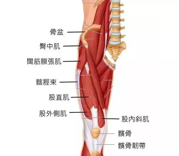 想解决膝盖痛的问题, 先要搞清楚为什么膝盖会痛.