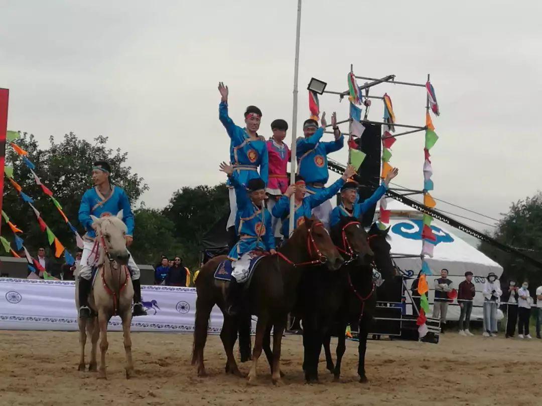 打马过草原相聚在圣谷科左后旗第二届骑手会暨森林