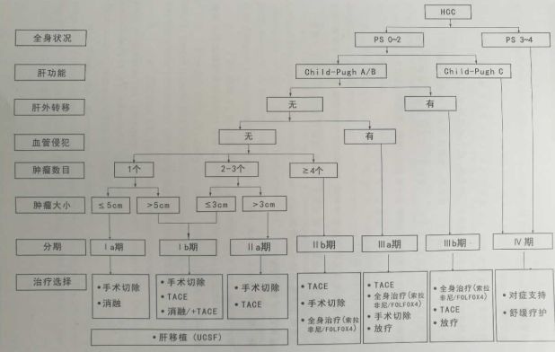 原发性肝癌分期:bclc,tnm,jsh,apasl,中国临床分期多种分期,具体如下