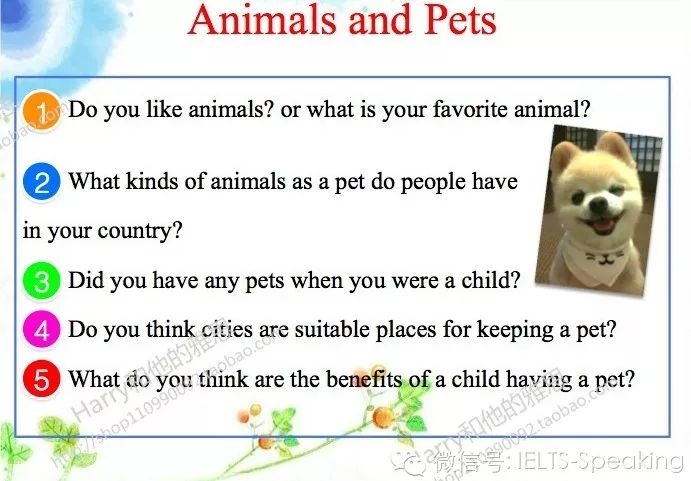  "Ultimate Quiz About Pets: Test Your Knowledge and Discover Fun Facts!"