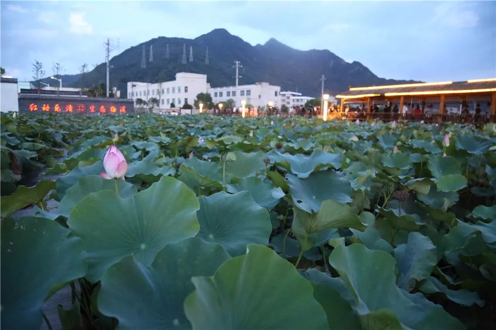 梅溪村人口_蓝山大洞梅溪村图片