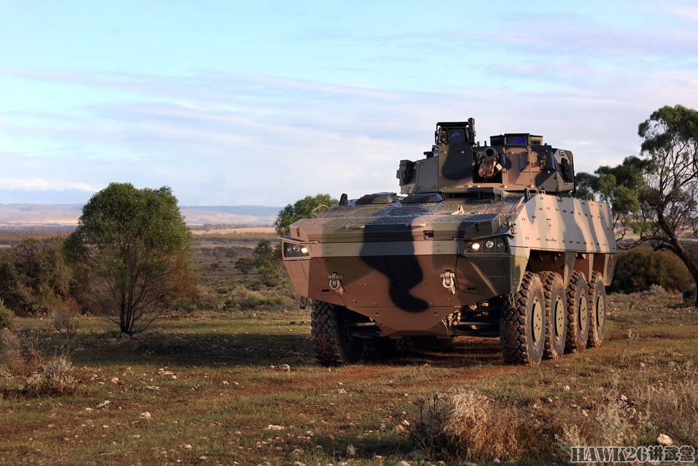 澳大利亚购买211辆德国"拳师犬"装甲车总价值165亿